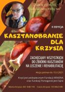 Rys. Kasztanobranie