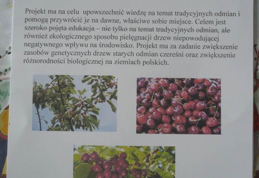 3.ulotka Julki P1070400