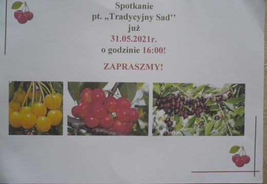 5.plakat Julki P1070402