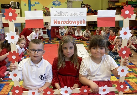 img dz barw narodowych 04