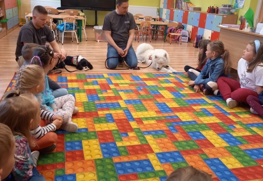 img dogoterapia 13