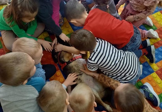 img 01 borys przedszkole