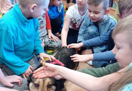 img 05 borys przedszkole