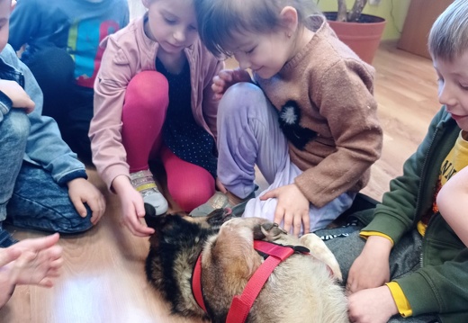 img 09 borys przedszkole