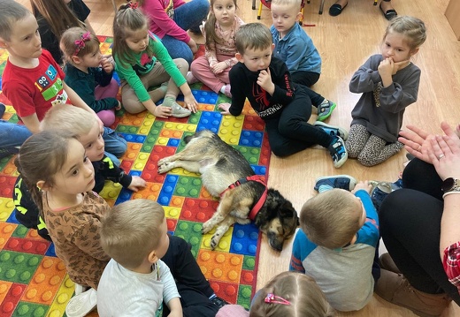 img 10 borys przedszkole