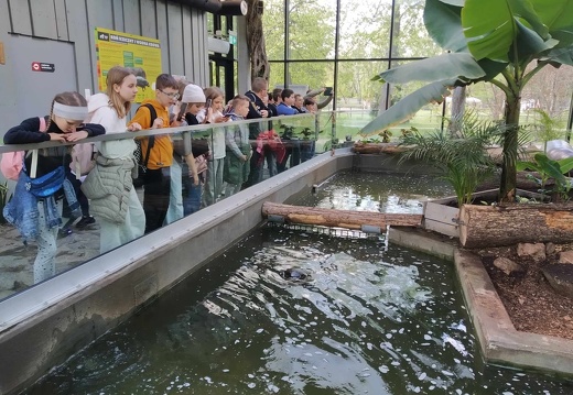 img 20240426 zoo01