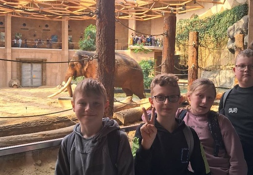 img 20240426 zoo04