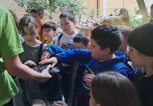 img 20240426 zoo06
