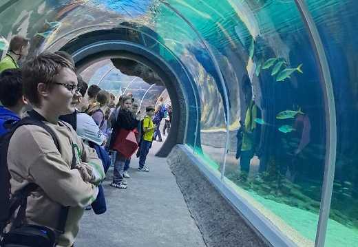 img 20240426 zoo09