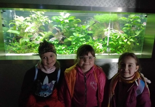 img 20240426 zoo11