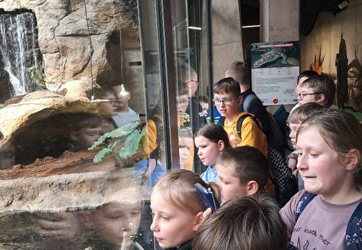 img 20240426 zoo13