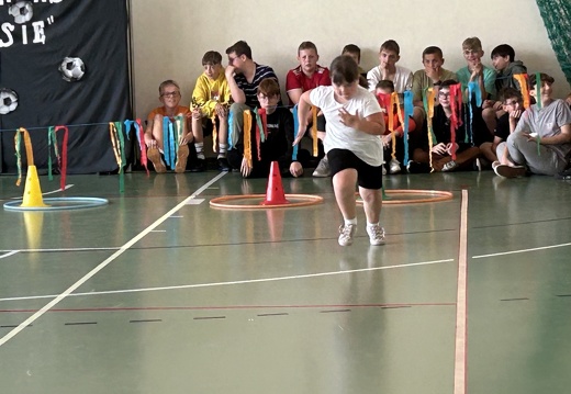inline4