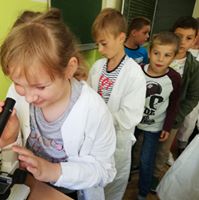 img 70412831