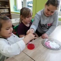 img 74474655