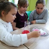 img 75561418
